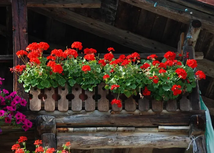 Lejlighed Miralago *